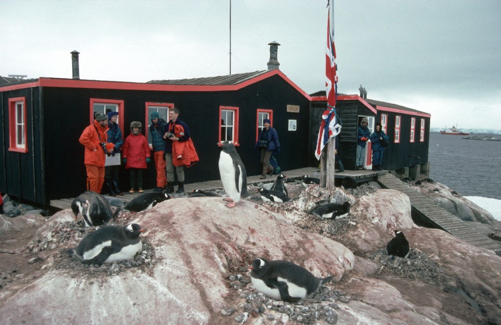 NEWS STORY: Penguin Post Office - British Antarctic Survey