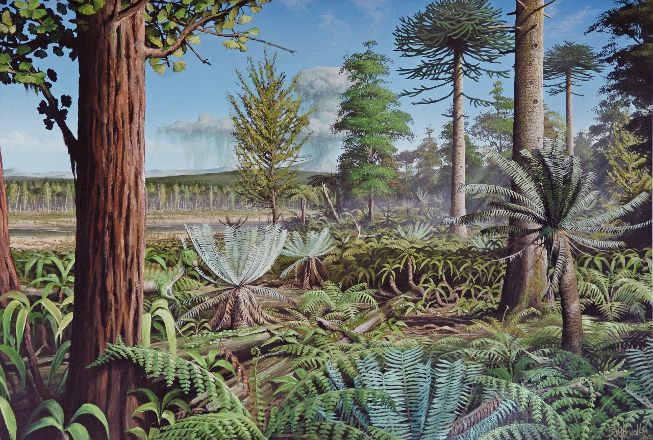 paleozoic era ferns