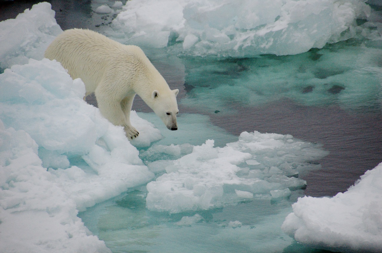 frozen-planet-autumn-arrives-british-antarctic-survey