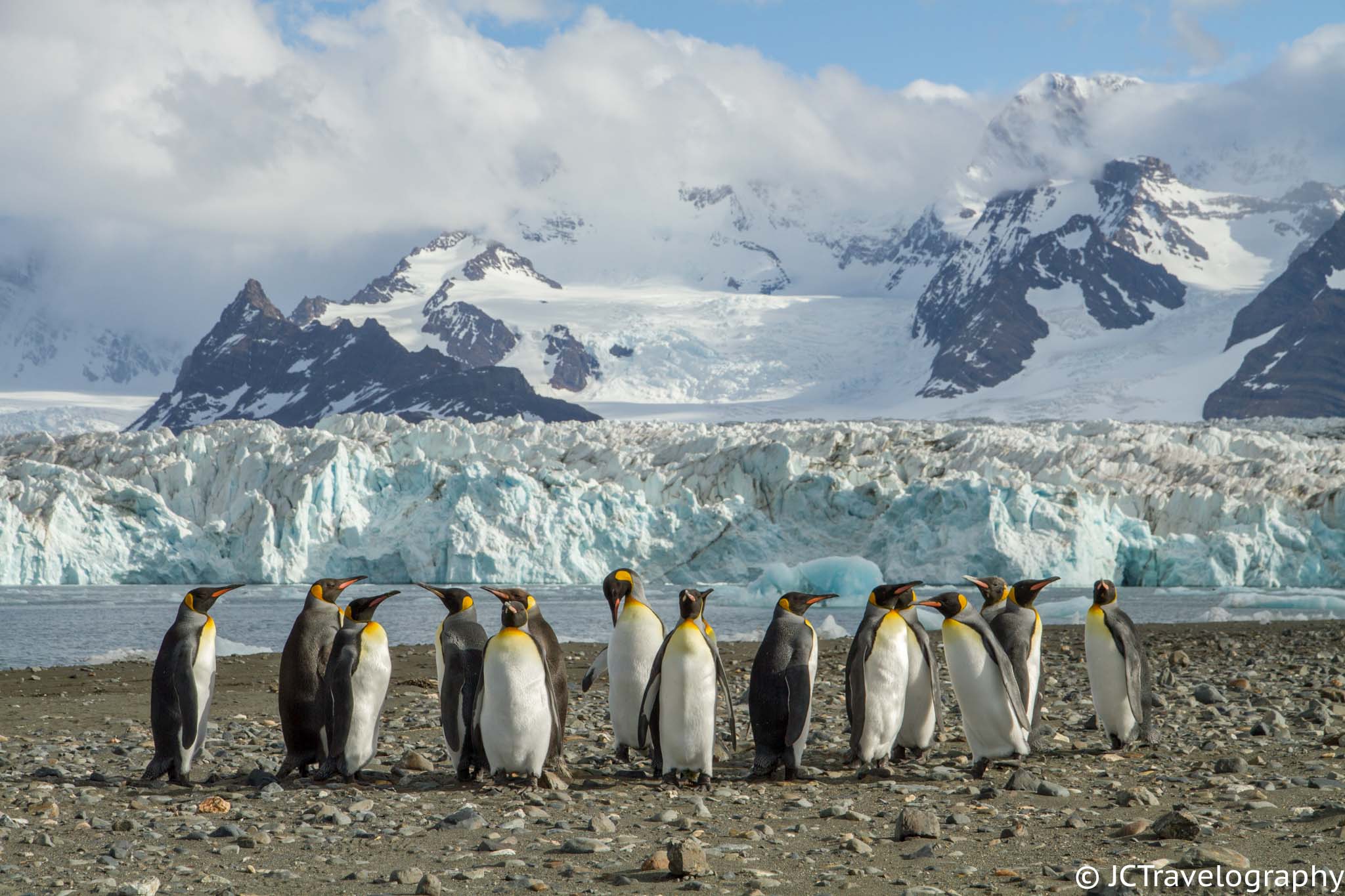 Life on the sub Antarctic island of South Georgia - British Antarctic ...