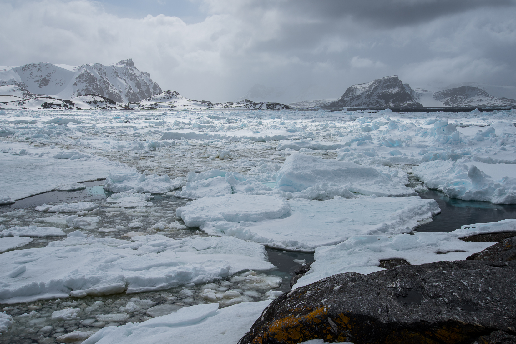 ANTARCTIC BLOG: The many “hats” of a polar scientist - British ...