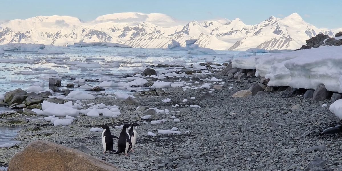 First journey to Rothera - British Antarctic Survey