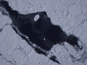 Record low Antarctic sea ice ‘extremely unlikely’ without climate change