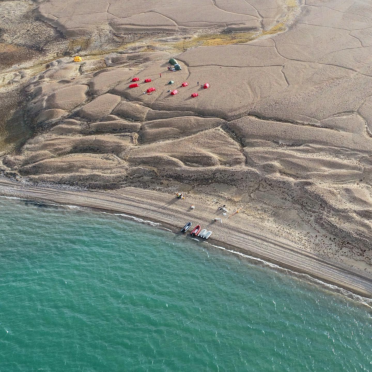 A group of people on a beach near a body of water