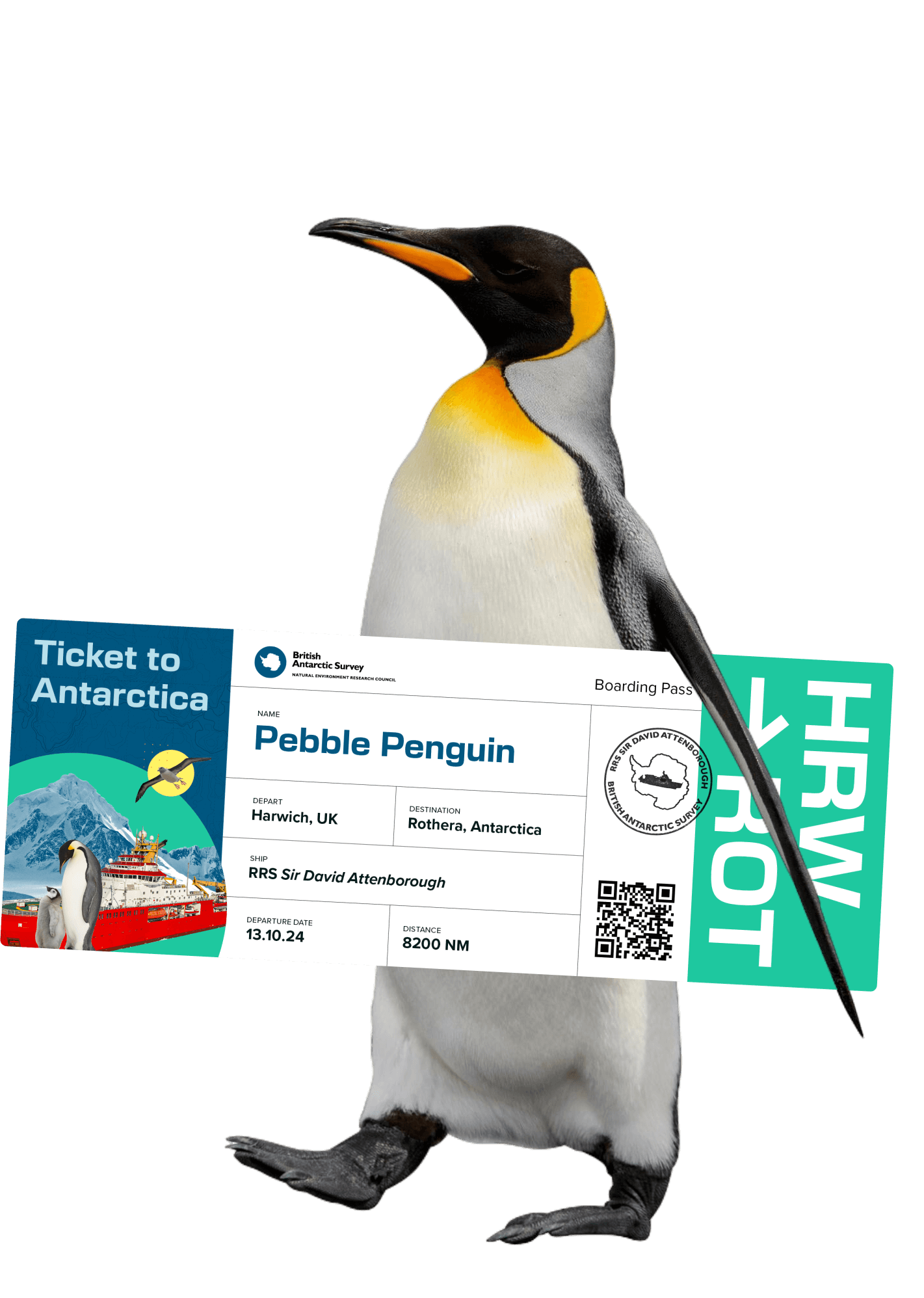 A penguin holding a boarding pass