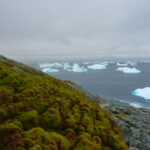 A close up of a hillside next to a body of water