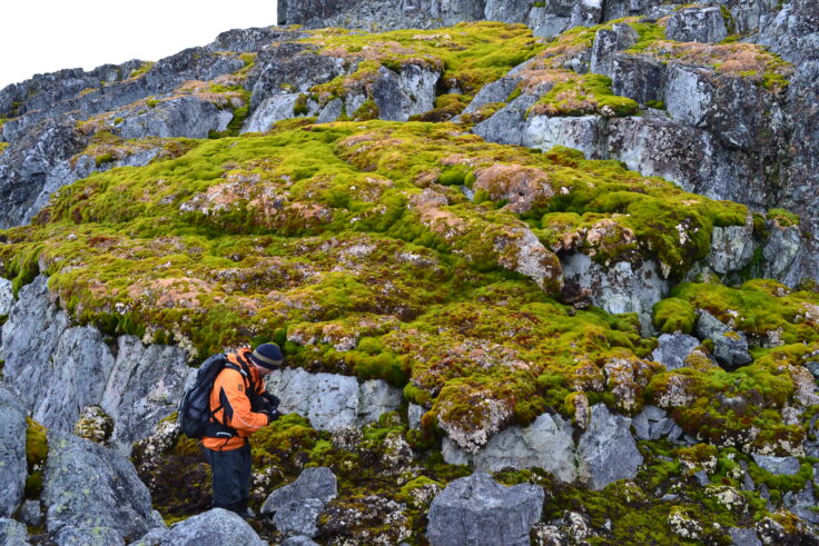 A man standing on a rocky hill