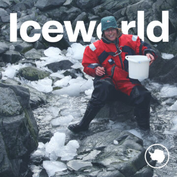 A man sitting on a rock in the snow