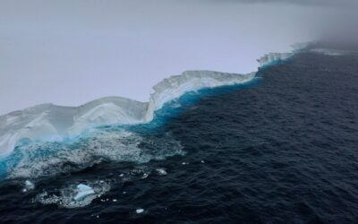 An aerial view of the edge of a large iceberg