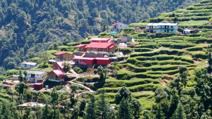 A garden with a mountain in the background